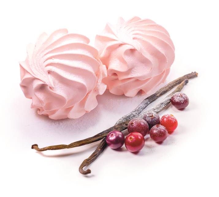 160g Udarniza Scharmel Sevir Moosbeere // Зефир клюквенный