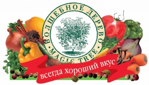 Magic Tree, Russische Föderation Magic Tree, Russische Föderation
