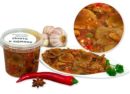 10114_06022019223236 350g Stockschwämchen in Adgika // Опята в аджике