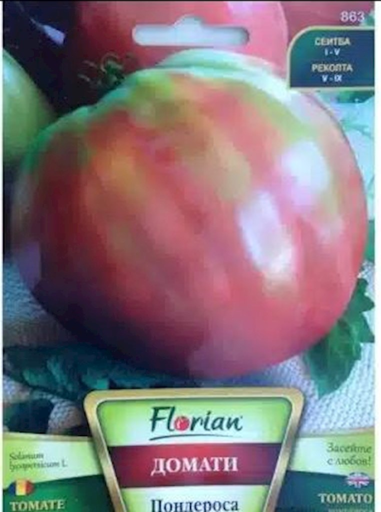 1g Florian Tomatensamen Ponderosa  // Семена Томатов Ponderosa